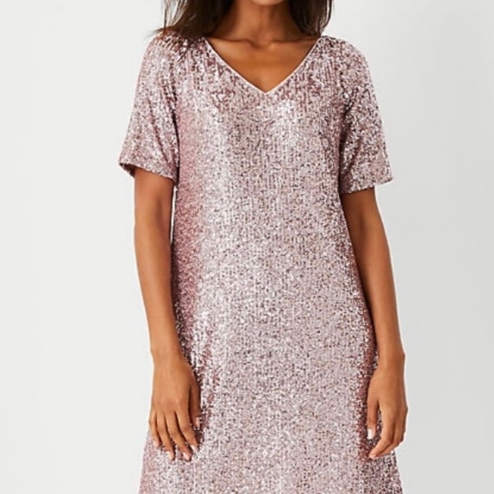 Ann Taylor Rose Gold Sequin Dress